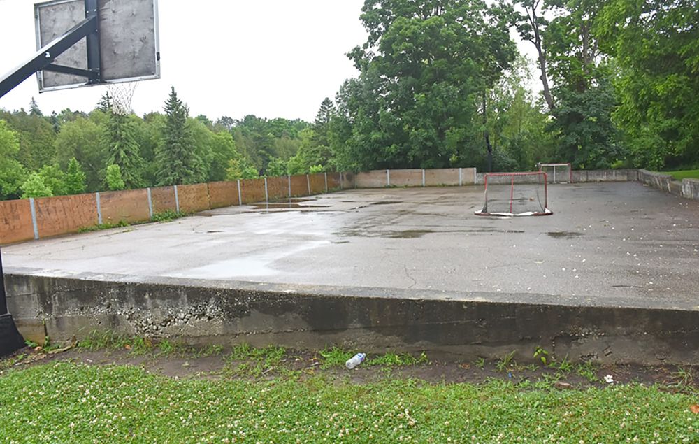 Council awards consulting contract to explore options for Bissell Park project post image