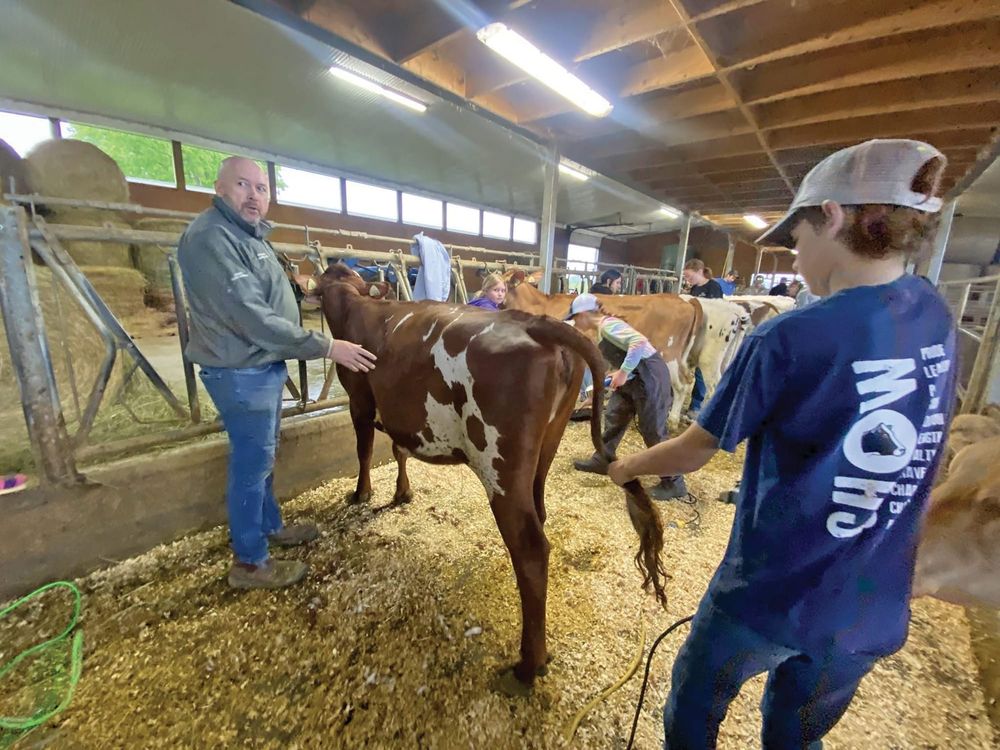 Eramosa 4-H Dairy Club members prep for upcoming shows and fairs post image