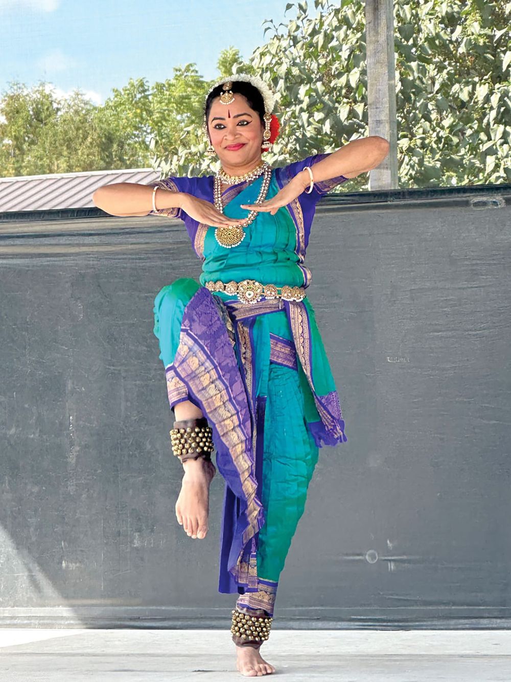 Multicultural Festival coming to Wellington County Museum post image