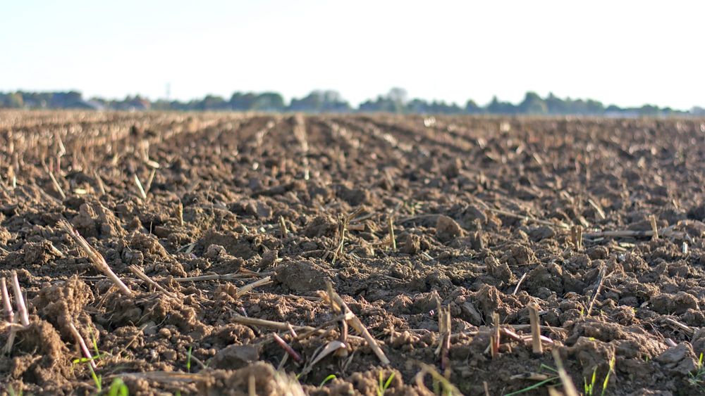 Farmers support Senate soil report recommendations post image