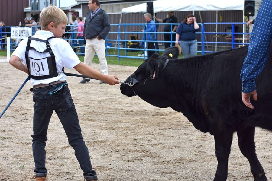 Four days of farm fun at Arthur Fall Fair post image