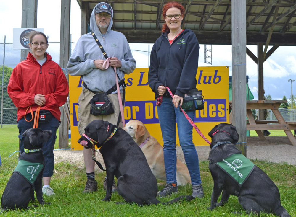 County events help Lions raise $1.3 million for dog guides post image