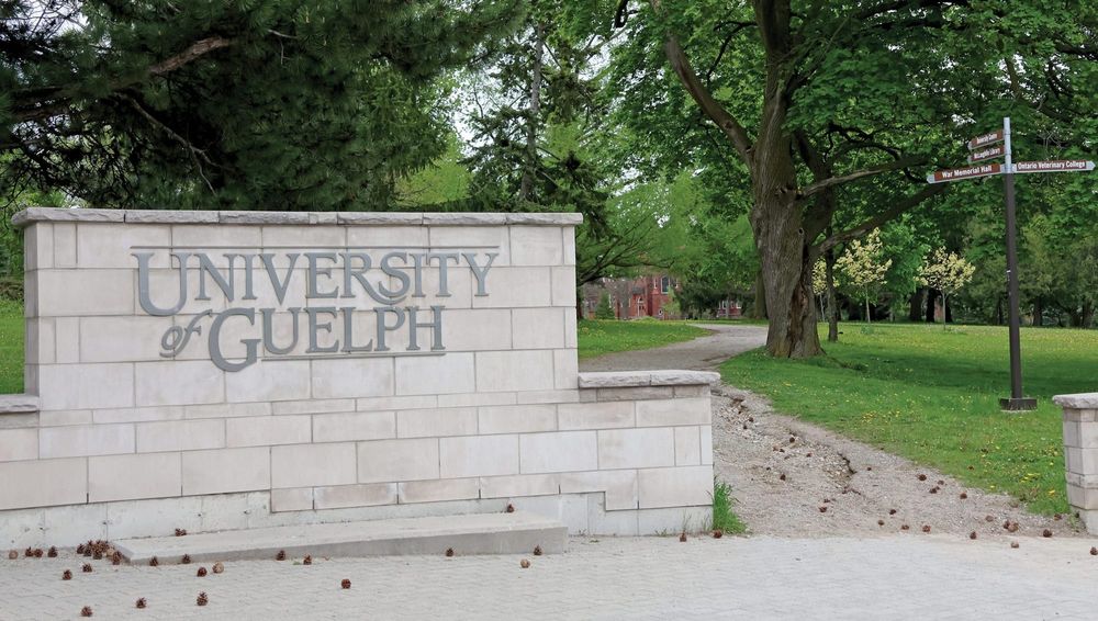 Non-profit, grassroots groups invited to be part of giving guide post image