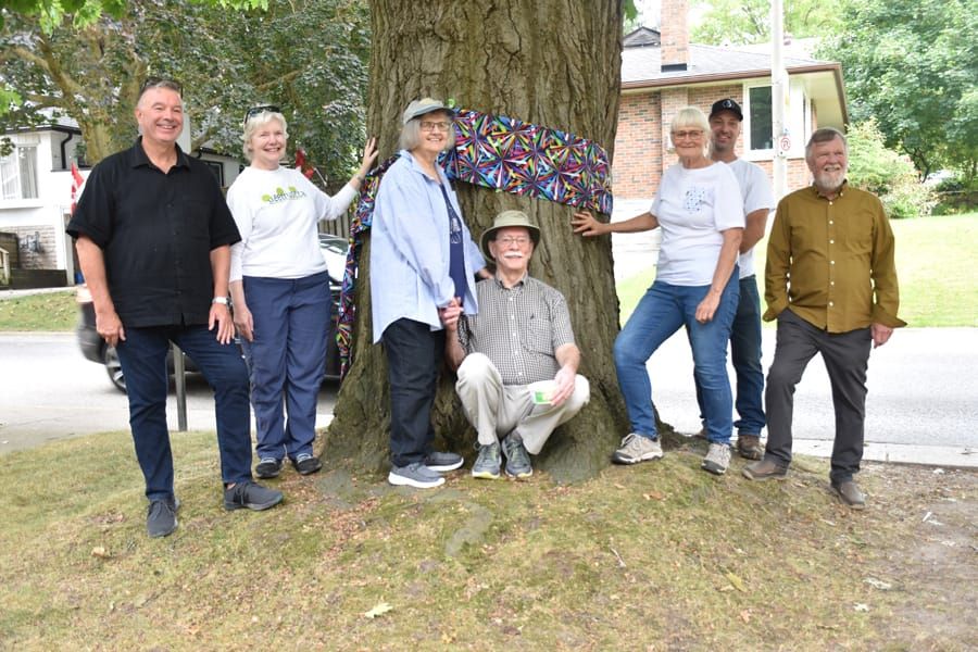 Centre Wellington’s Tree of the Year post image