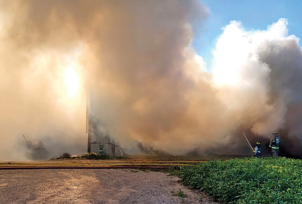 Close to 1,600 pigs die in Wellington North barn fire post image