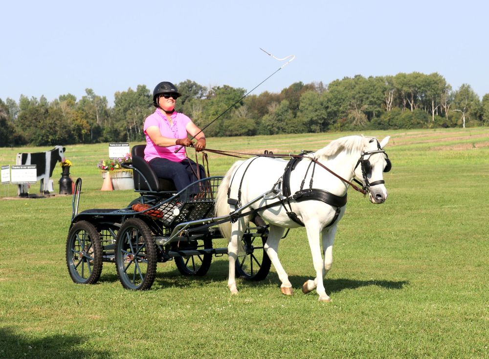 Conespalooza post image