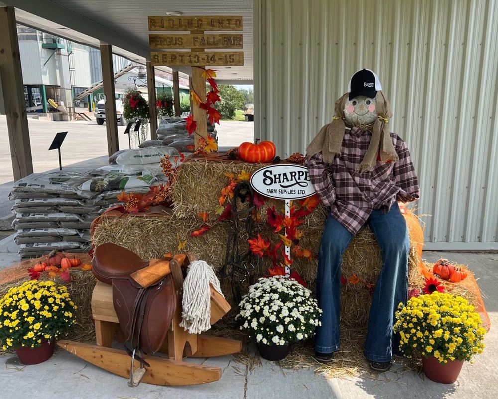Fergus Fall Fair Display Competition winners announced post image