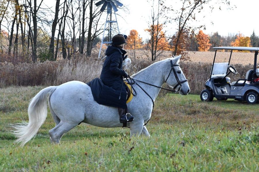 Trail ride raises funds for Hospice Wellington post image