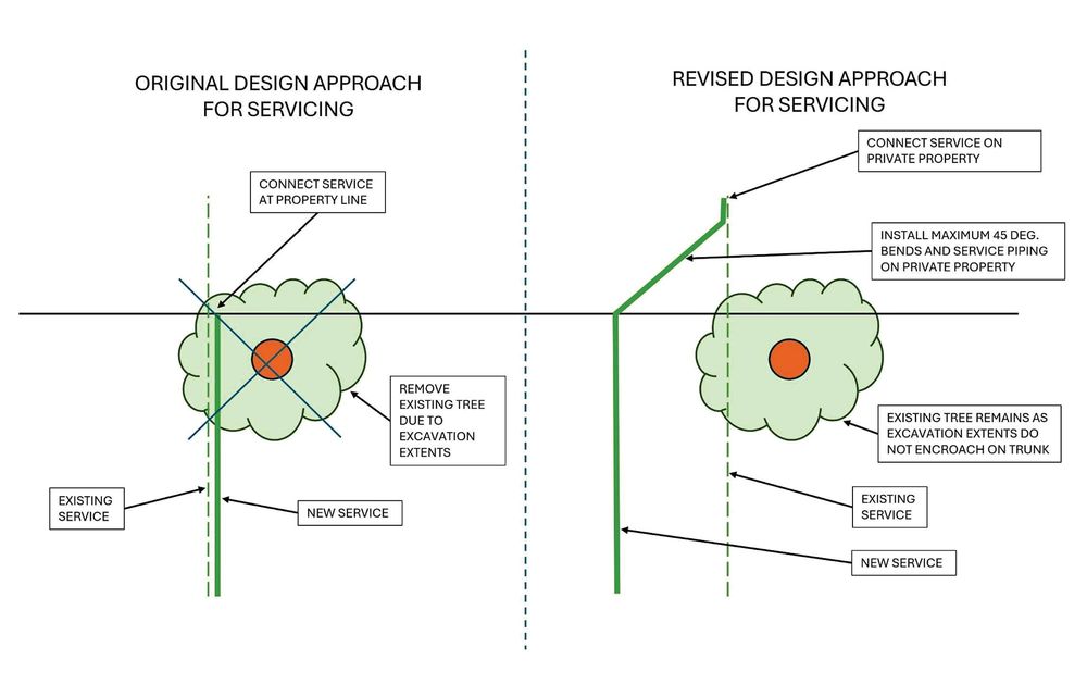 Wellington North surveys residents on Fergus Street North reconstruction post image