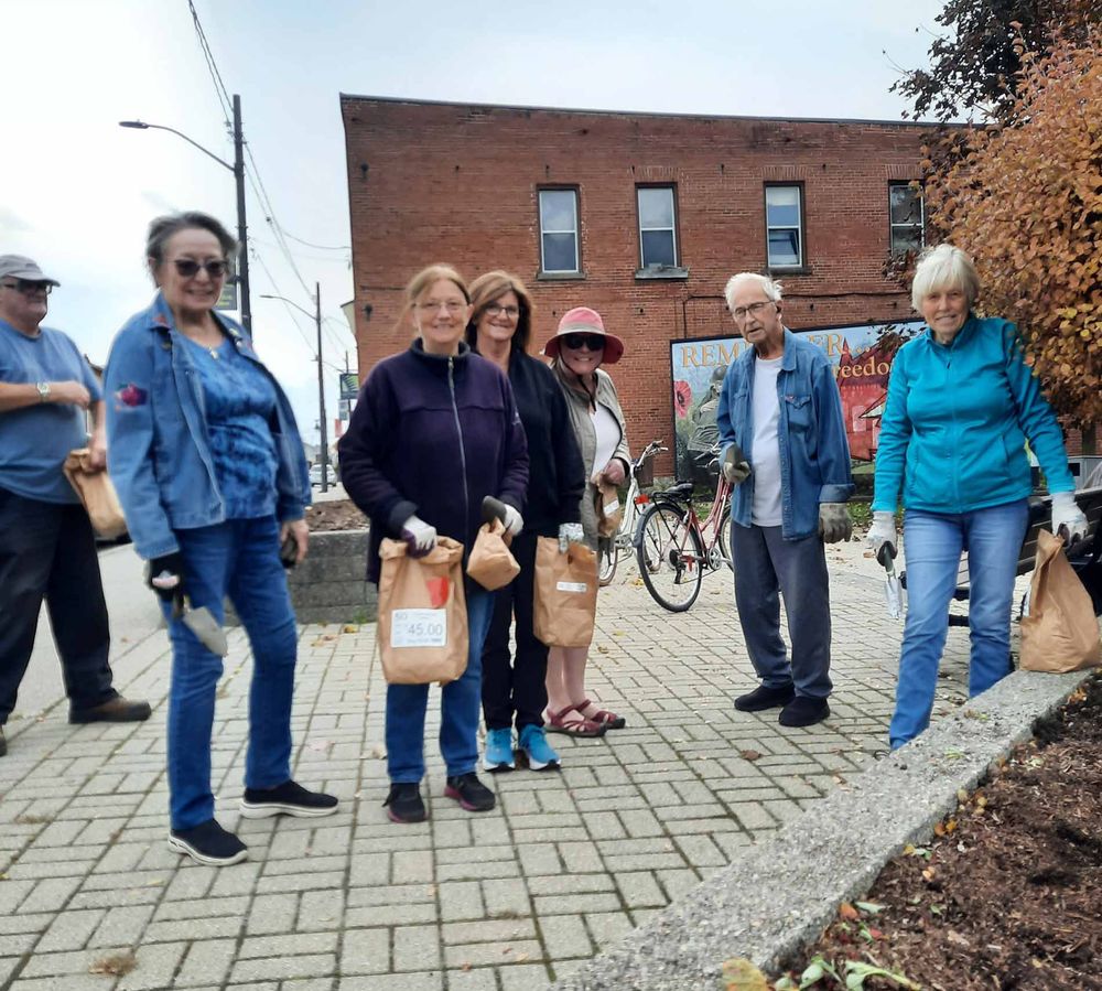 Arthur Horticultural Society members plant tulips for Arthur cenotaph post image
