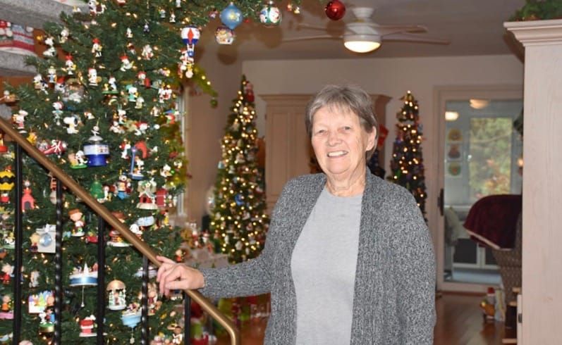 Christmas Wonderland Home Tour to benefit Fergus Curling Club post image