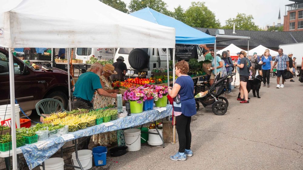 OFA welcomes funding for Cultivating Local project post image