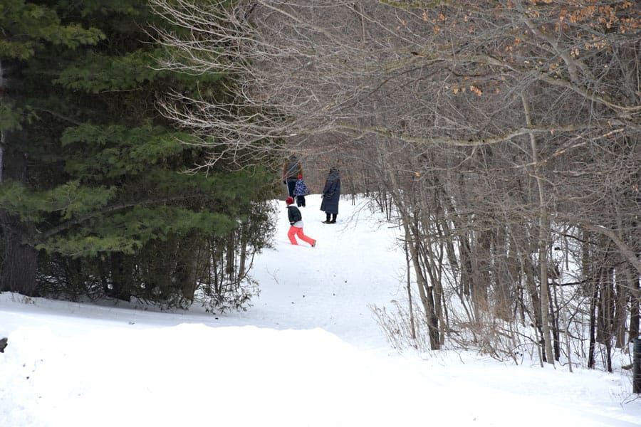 Peaceful Rockwood hike post image