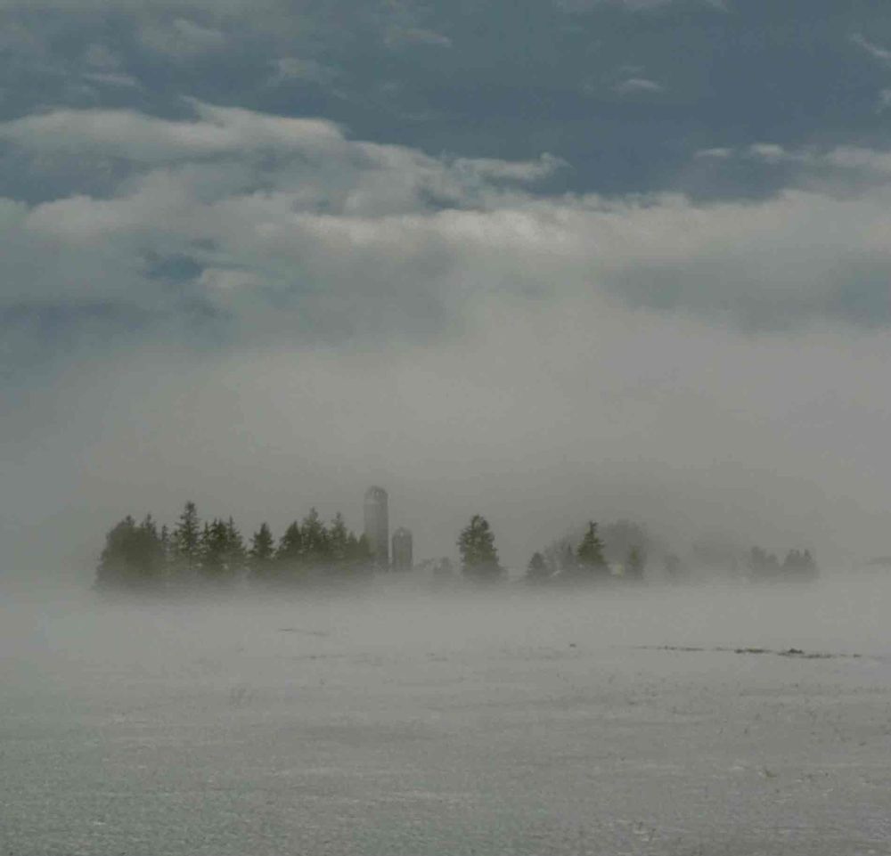 Mapleton farm engulfed in evening mist post image