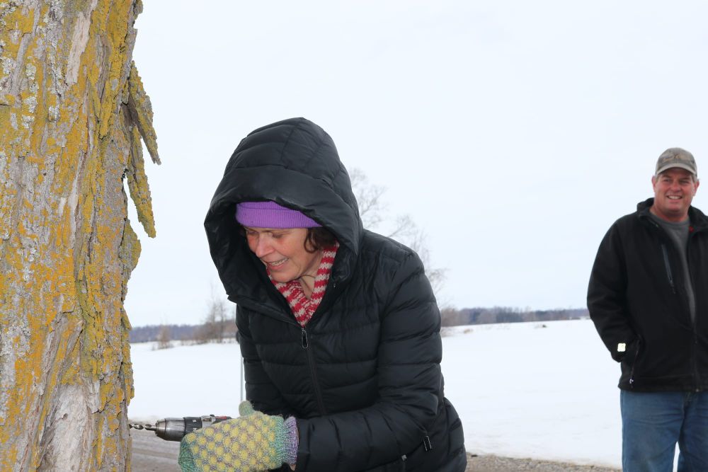 Local maple syrup producers expect ‘good season’ post image
