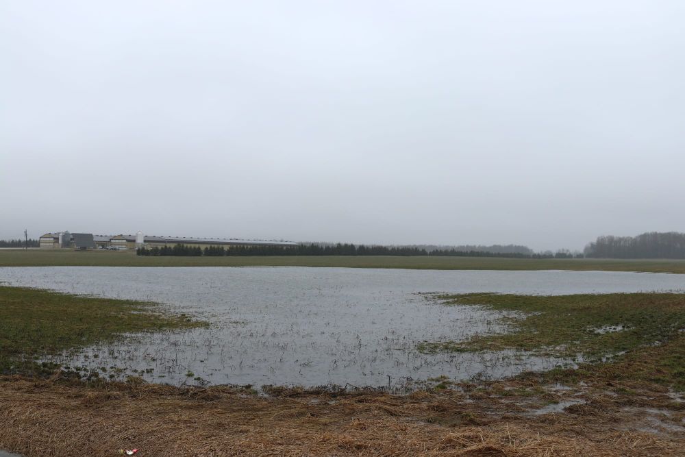 Grand River Conservation Authority issues flood warnings in Drayton post image