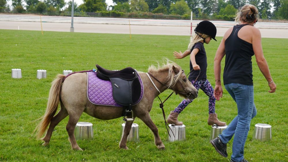 OPINION: mounted games group seeks new members post image