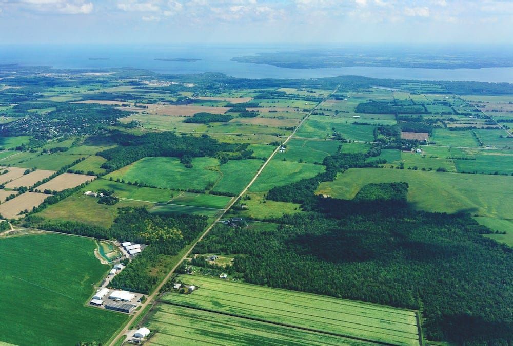 OPINION: ‘Foodbelt’ legislation to be tabled by Ontario Greens and Haldimand-Norfolk MPP post image