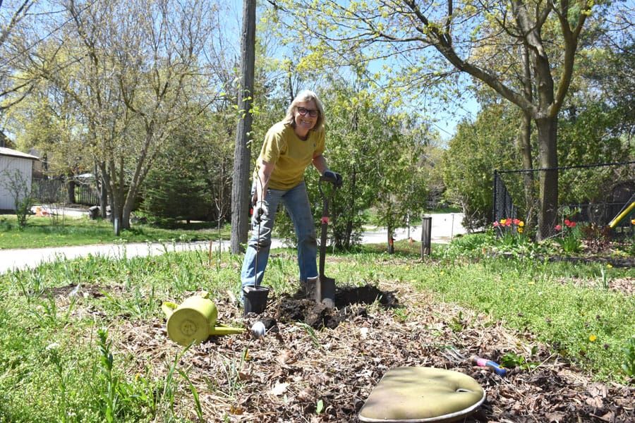Not into vegetable gardening? Try planting a food forest post image