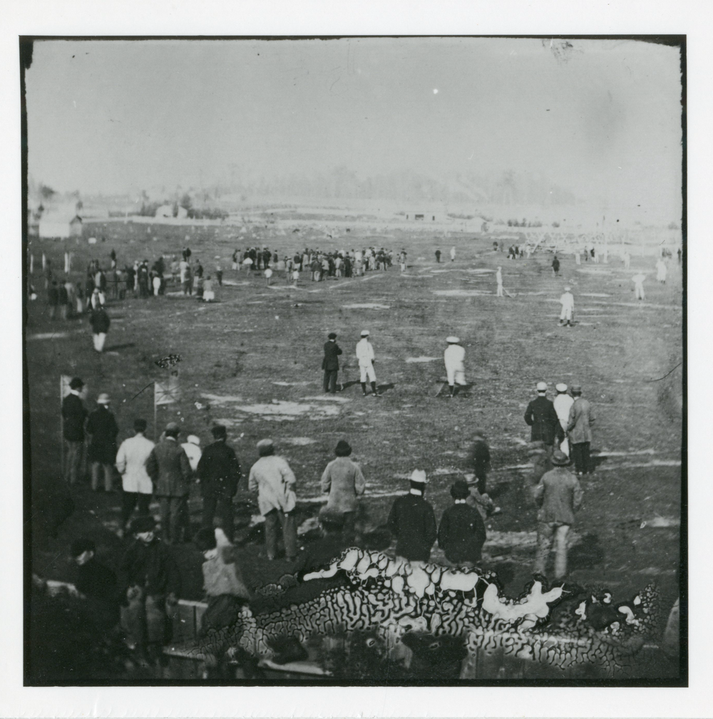 Lacrosse has been played in Elora for 130 years post image