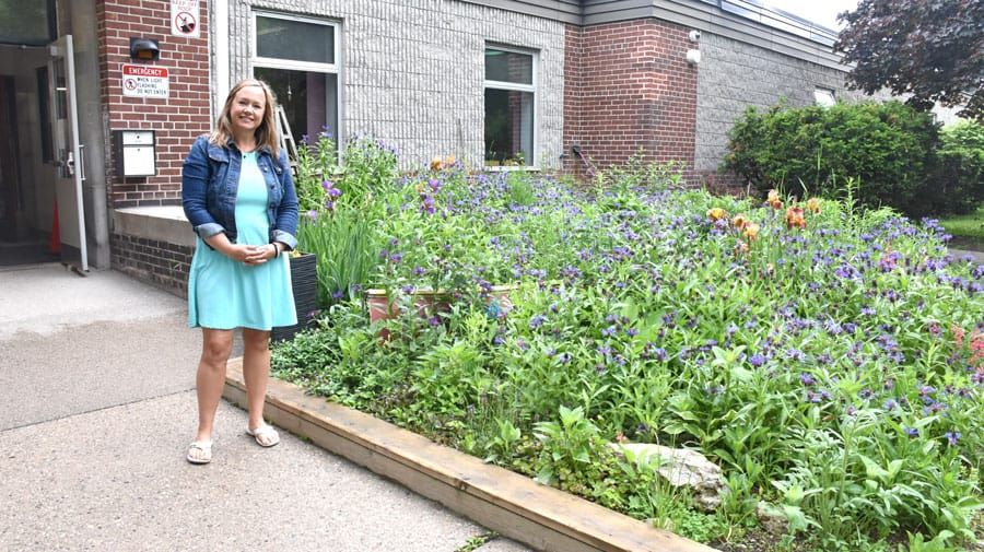 Children learn skills, life lessons in schoolyard gardens post image