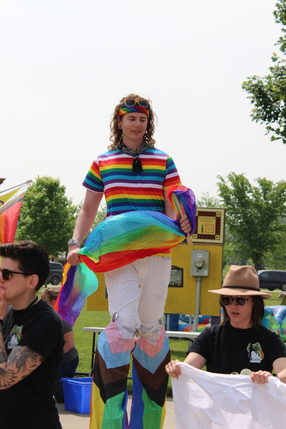 Palmerston celebrates Pride in the Park post image