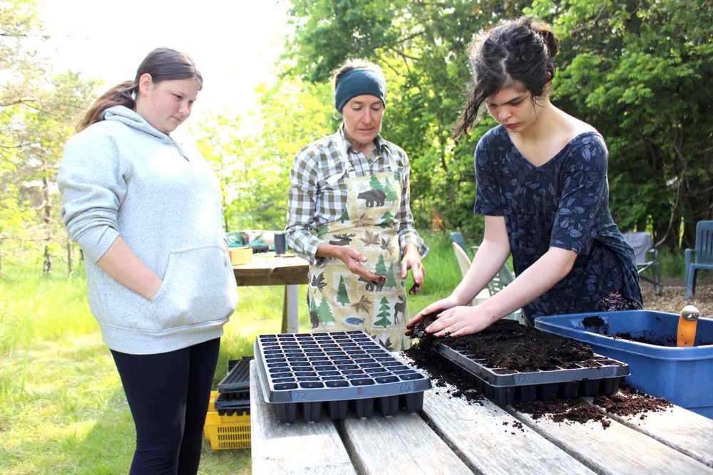 Students learn about growing veggies, food security post image