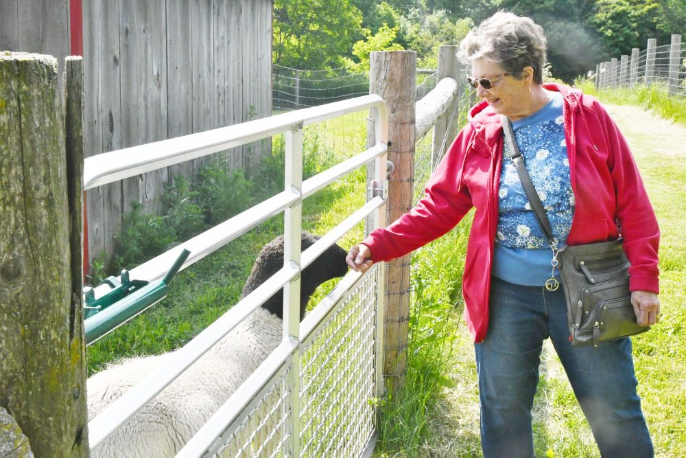Annual farm tour at Wicked Welly Farm post image