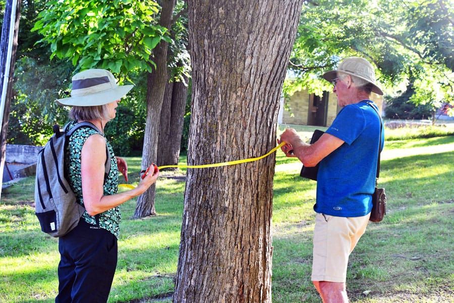 Volunteers record tree growth data in Bissell Park post image