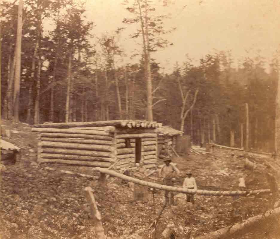 Palmerston native works to archive community’s history post image