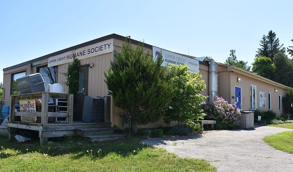 Town of Erin refuses to renew humane society’s lease after 2028 post image