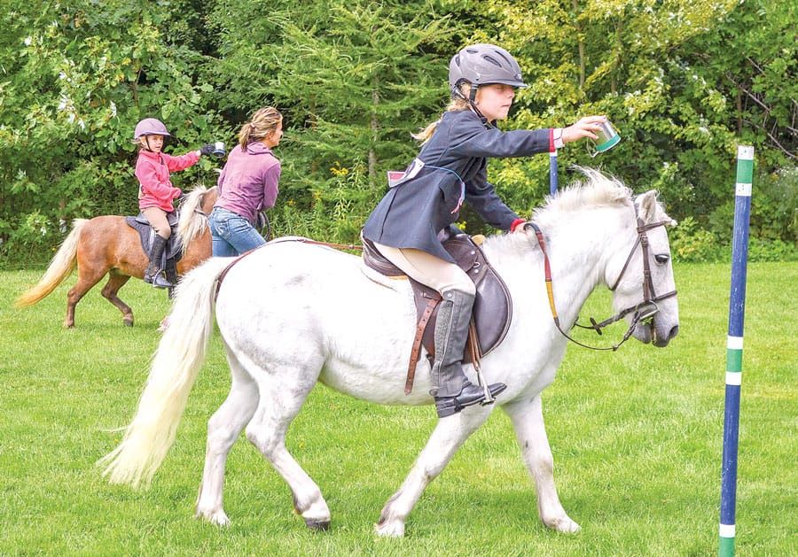 Aberfoyle Fall Fair is ready to rumble post image