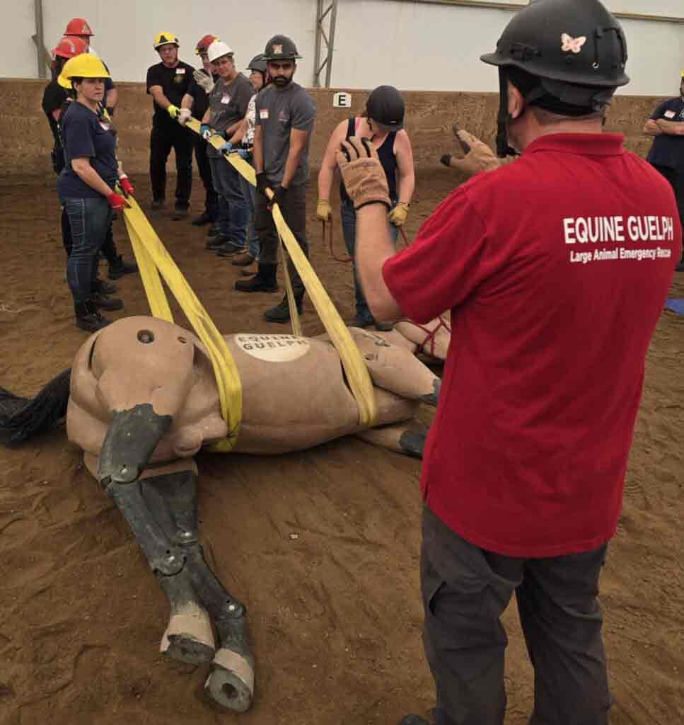 Large animal emergency rescue training heads to Elora after successful Atlantic Canada workshops post image