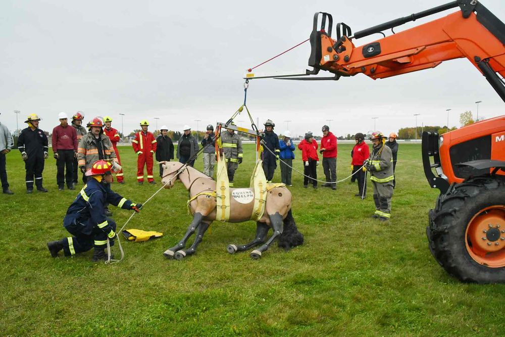 Firefighters learn skills in large-animal rescue post image