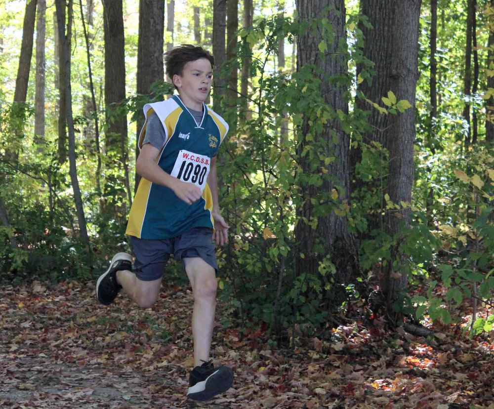 Catholic elementary students run cross country at Fergus sportsplex post image