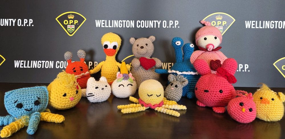 Wellington OPP accepting  plushies for ‘Soft Hearts Initiative’ post image