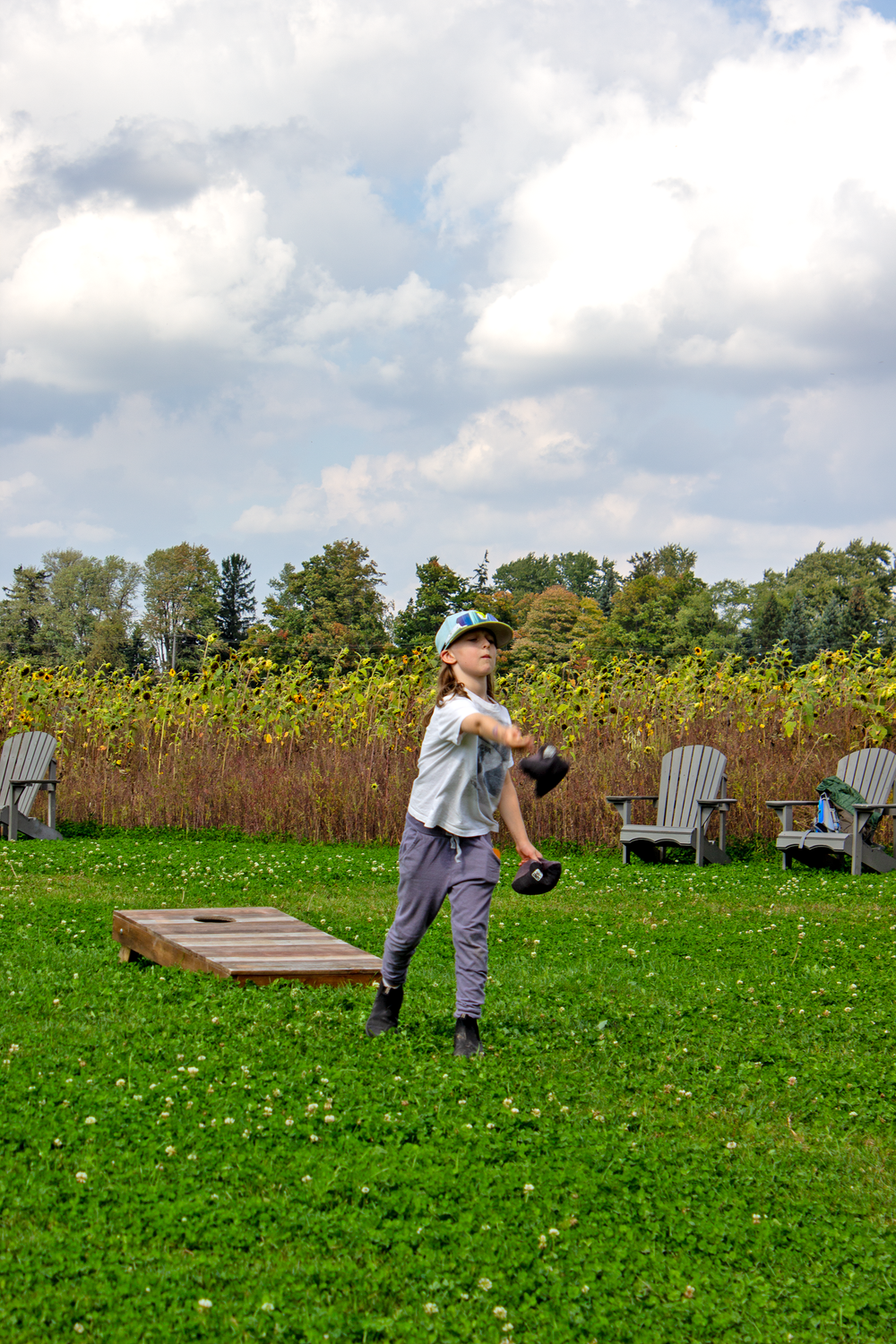 Fall Rural Romp showcases county’s southern businesses post image