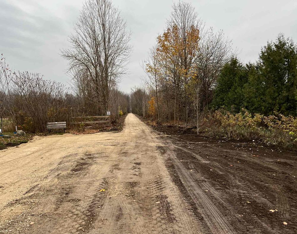 Wellington North celebrates reopening of enhanced West Luther Rail Trail post image