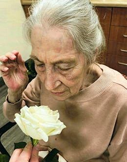 MARCOTULLIO, Patricia Elaine (née Dyce) post image