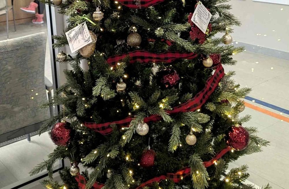 Louise Marshall Hospital Foundation to ‘light up’ hospital until Dec. 23 post image