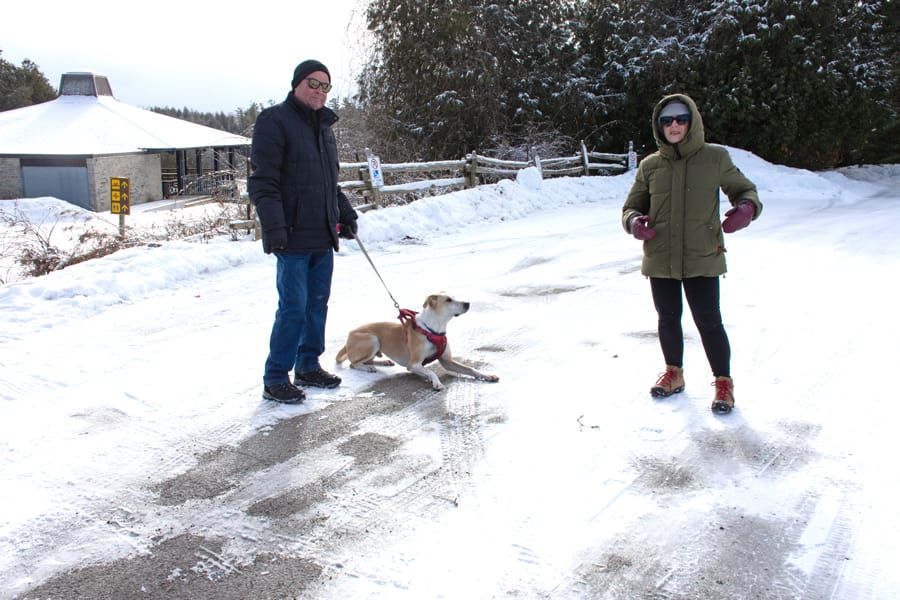 Winter weekend at Rockwood Conservation Area post image
