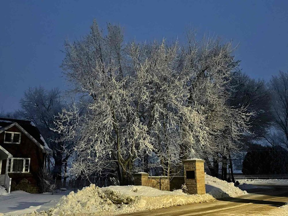 Ice storm hits north Wellington communities post image