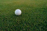 Sunflower tournament to benefit  Hospice Wellington Circle of Care post image