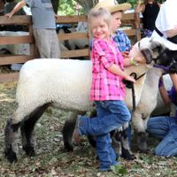 Drayton Fair returns with something for everyone post image