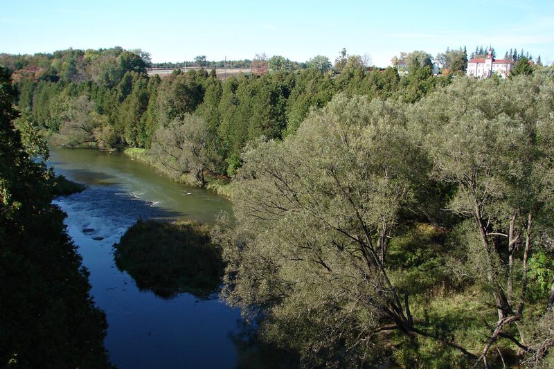 Township will conduct tree inventory with FCM grant post image