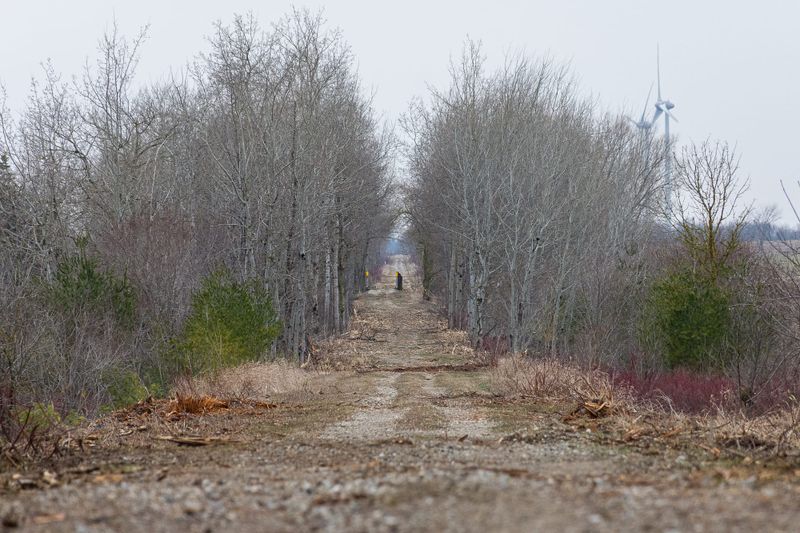 West Luther Rail Trail improvements continue thanks to community post image