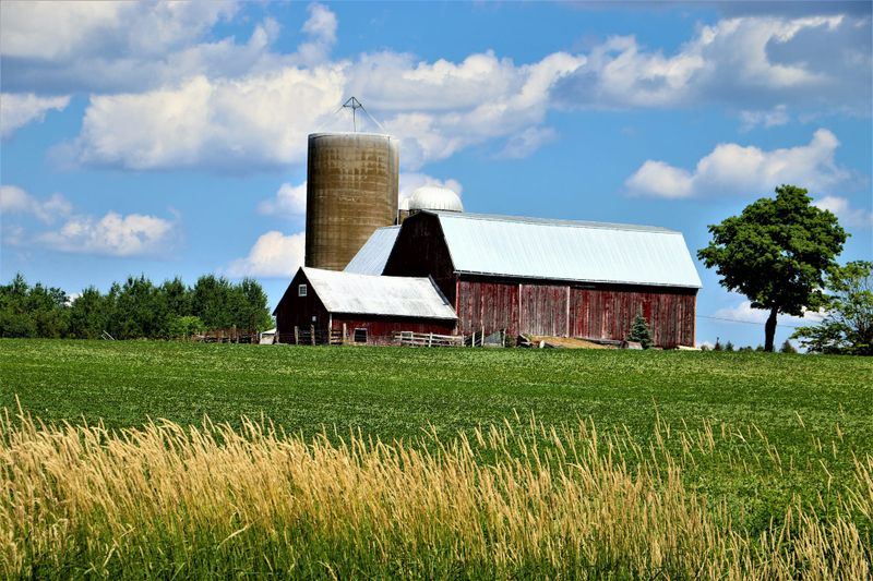 Province moves to exempt farmland from stormwater fees, addressing long-standing  concern for farmers post image