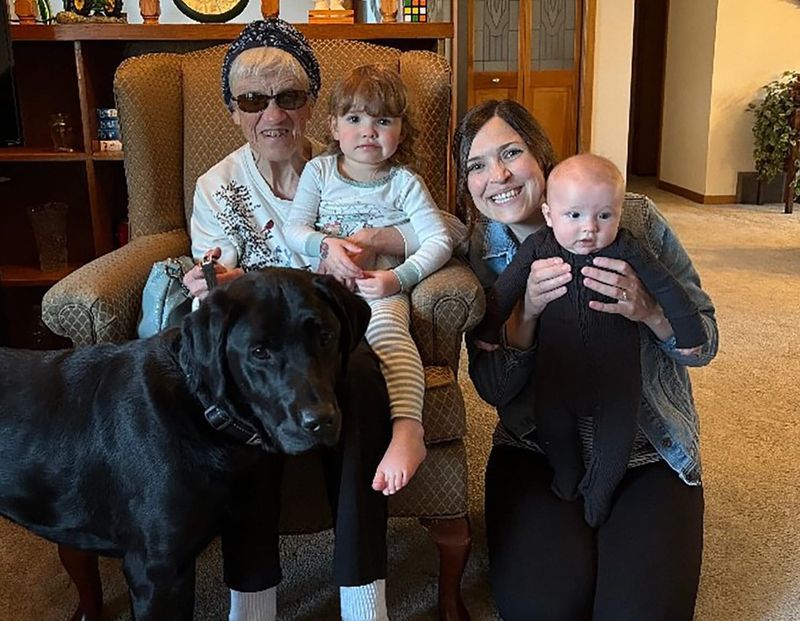 Charges announced in collision that sent Arthur woman to hospital, killed guide dog post image