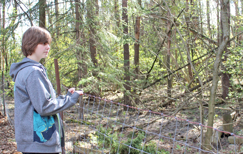 Developer one step closer to controversial plans for Arthur forest post image