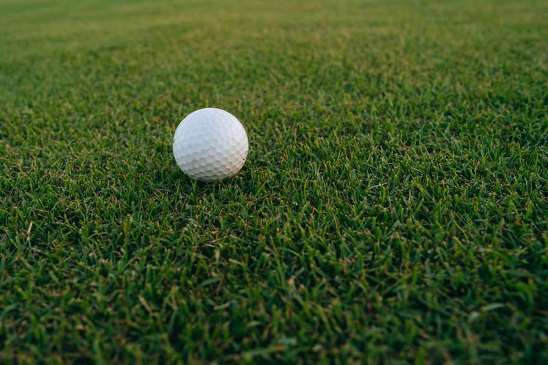 Sunflower tournament to benefit  Hospice Wellington Circle of Care post image